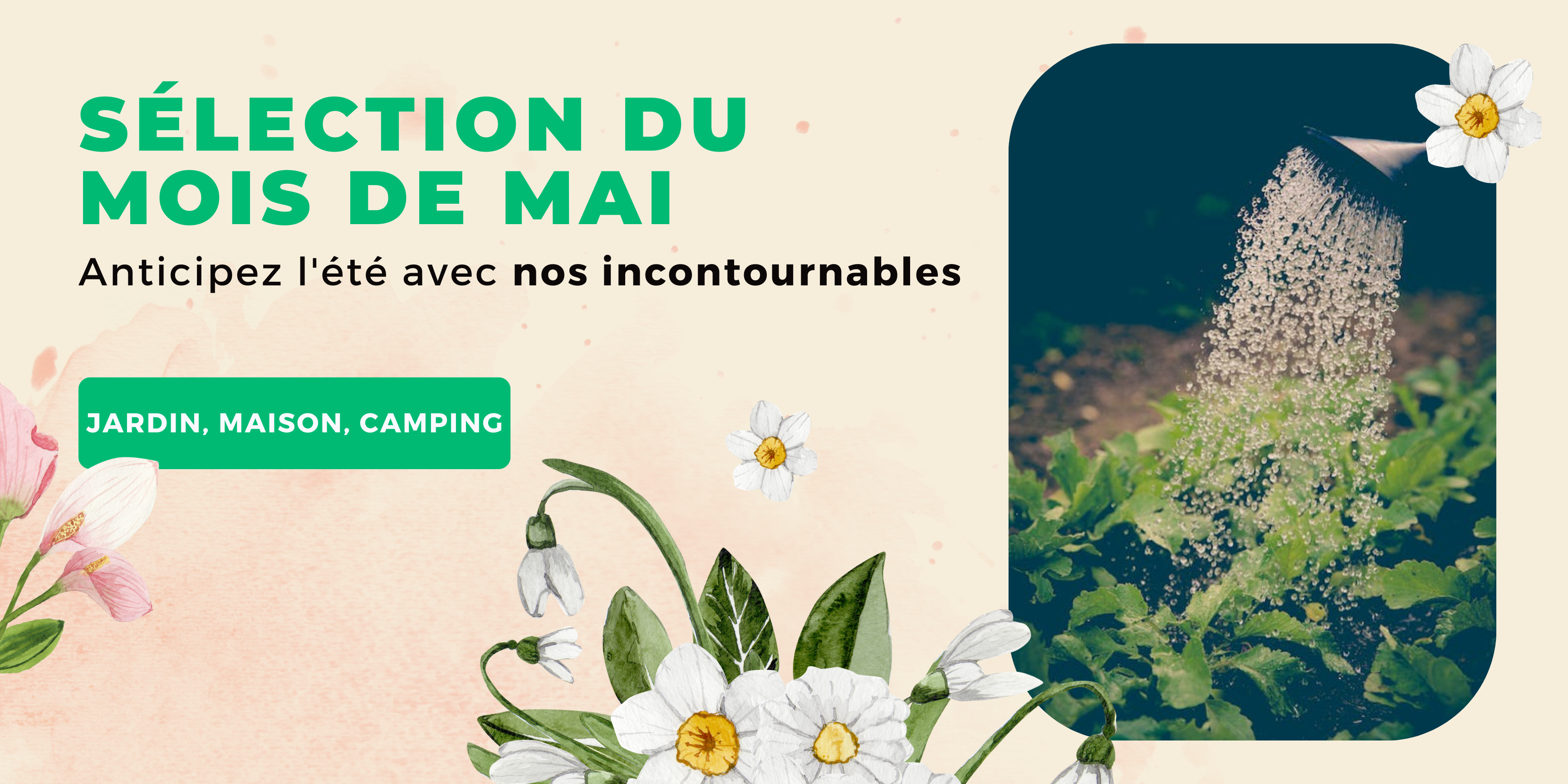 Sélection du mois de Mai