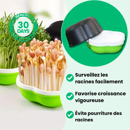 Plateau de Culture Hydroponique Maison Innovant