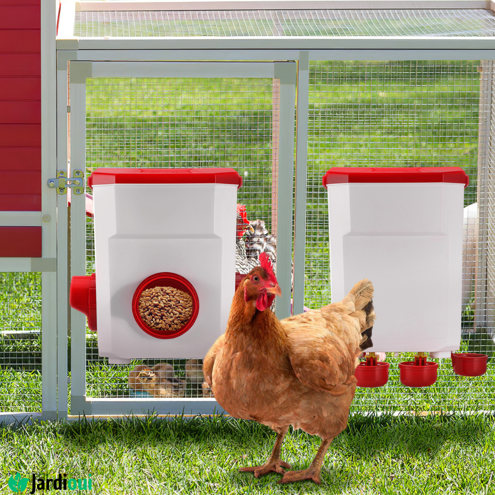 Professional Automatic Feeder for Chicken Coop