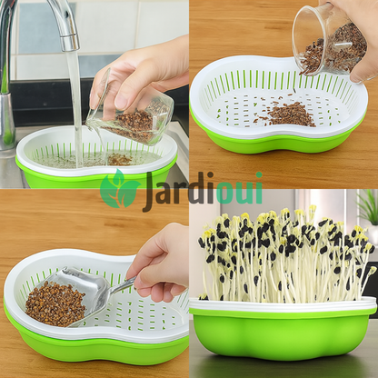 Plateau de Culture Hydroponique Maison Innovant