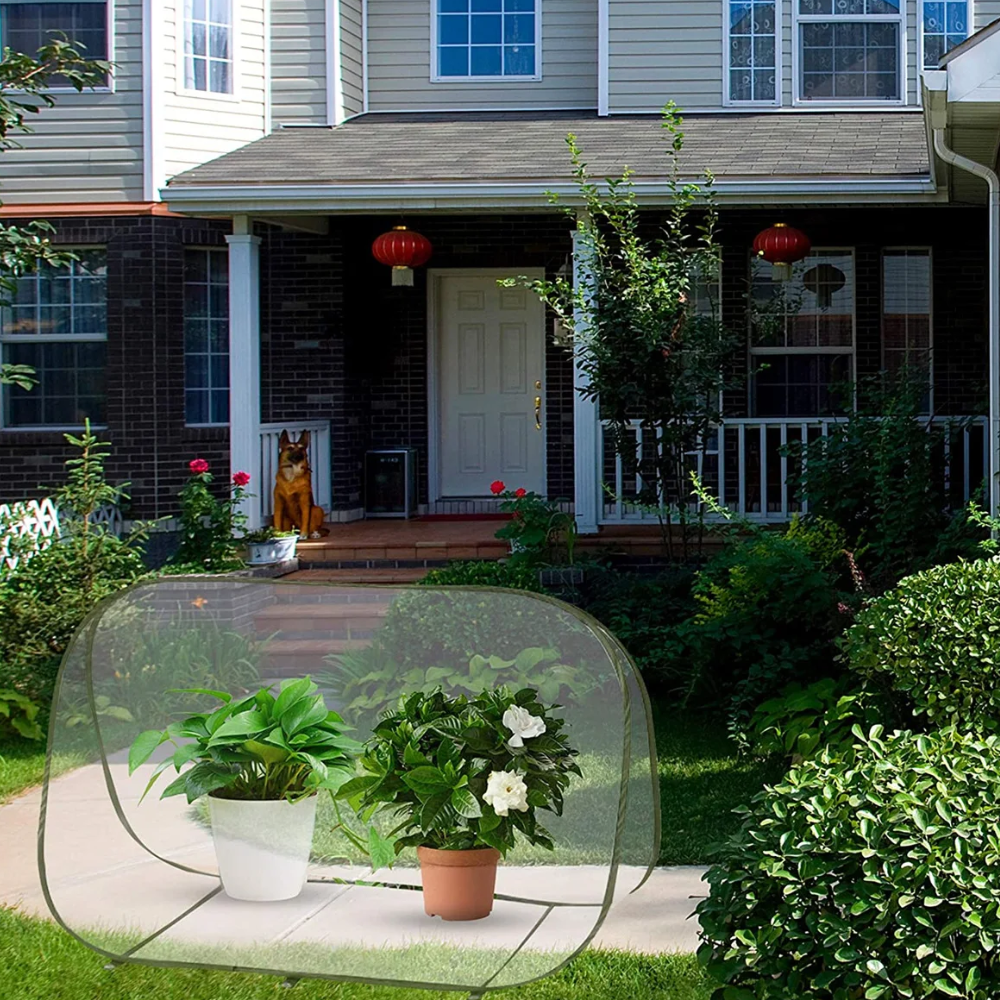 Mini Serre Anti-Intempéries Durable