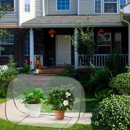 Mini Serre Anti-Intempéries Durable