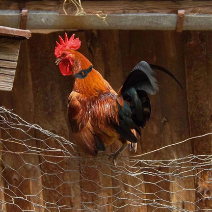 Collier Anti-Cri Réglable pour Poulets