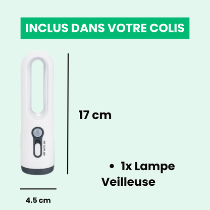 Lampe Veilleuse Détecteur de Mouvement Rechargeable