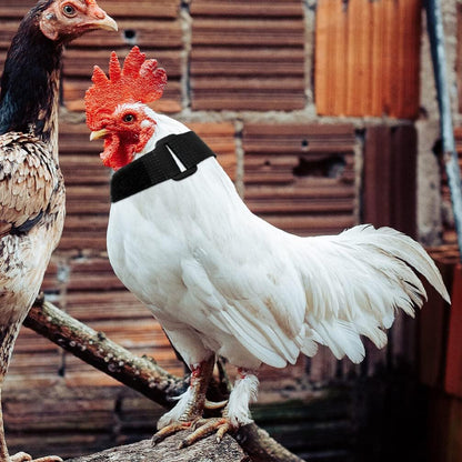 Collier Anti-Cri Réglable pour Poulets