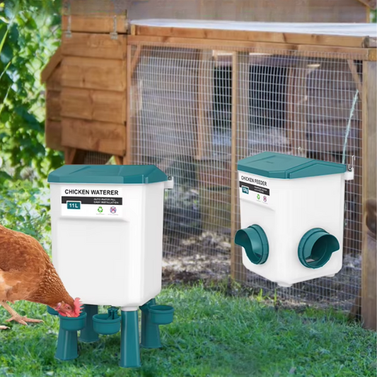 Professional Automatic Waterer for Chicken Coop