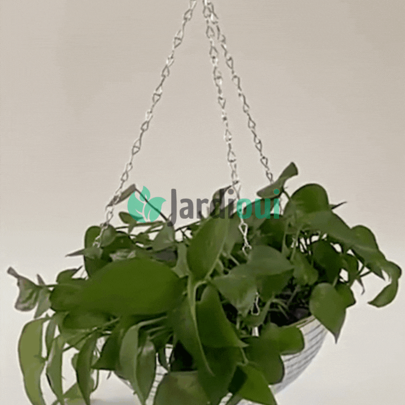 Pot de Fleur Boule à Facette Éclatant