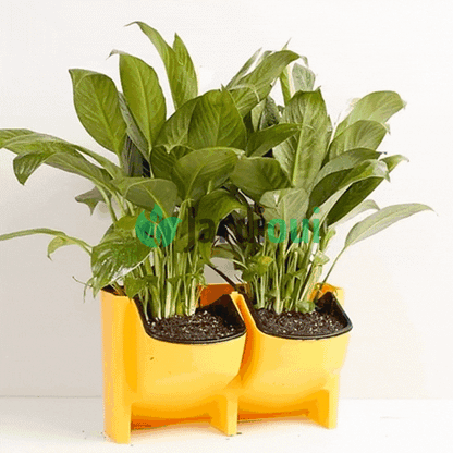 Jardinière verticale auto-arrosante (1 pièce)