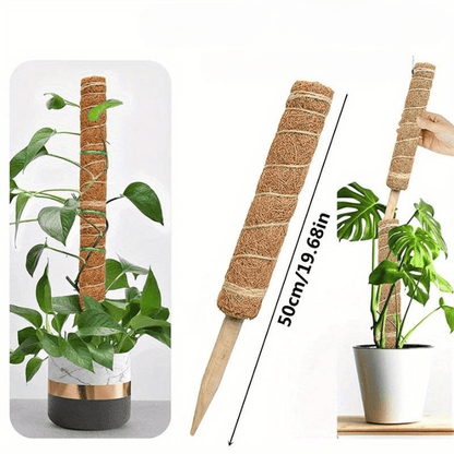 Jardioui 50cm / Une colonne Tuteur pour Plante Grimpante Robuste (+50m de Ficelle Offert)