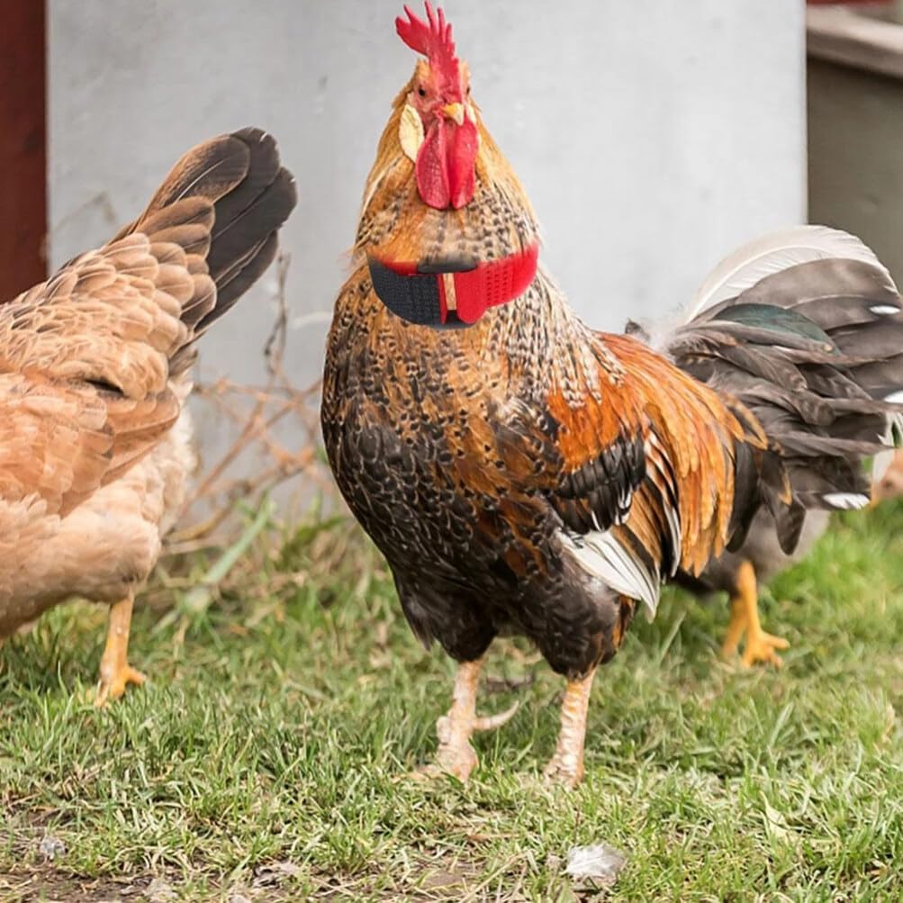Jardioui Collier Anti-Cri Réglable pour Poulets
