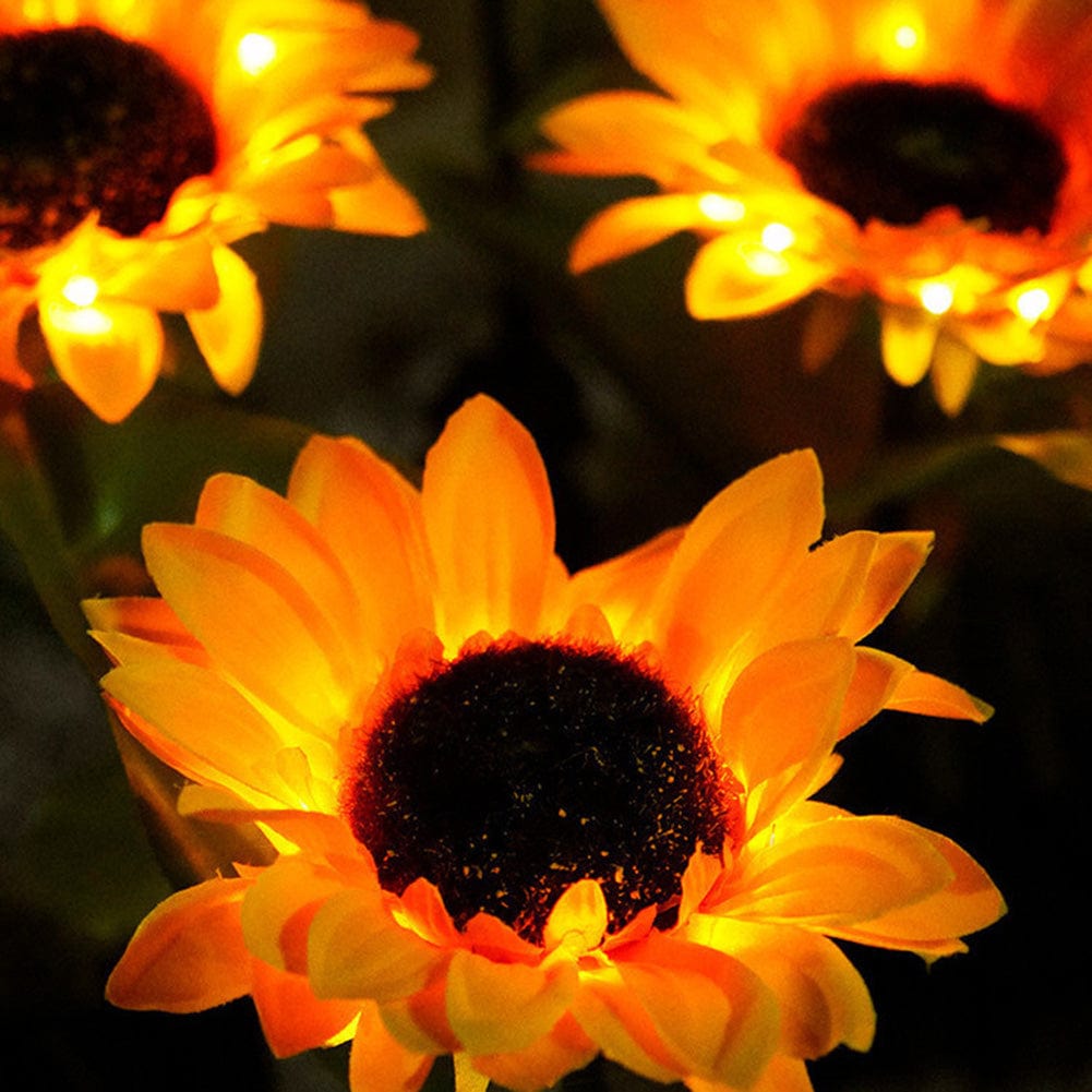 Jardioui Lumière Solaire Enchanteresse Tournesol