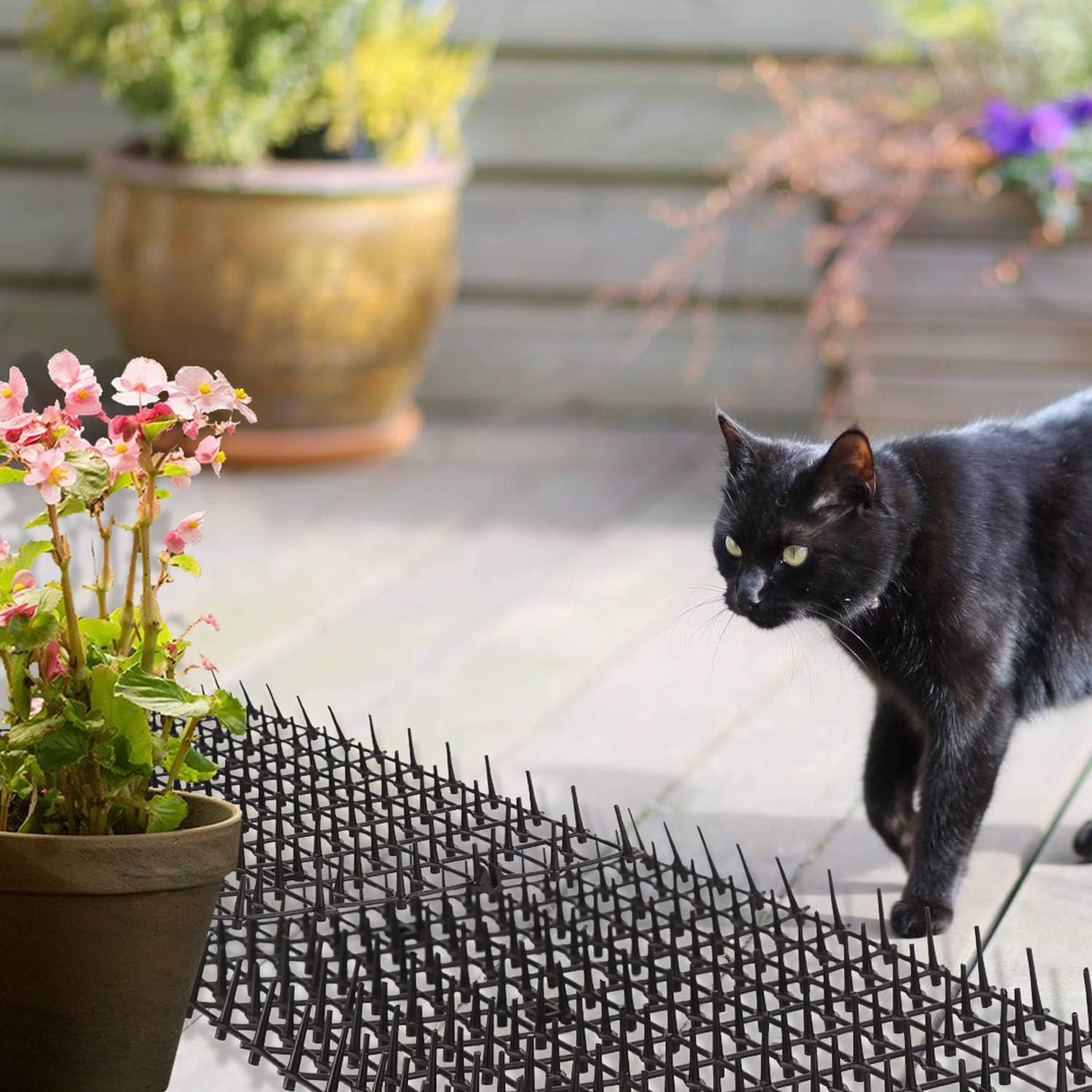 Jardioui Tapis Protecteur Doux et Respectueux des Animaux