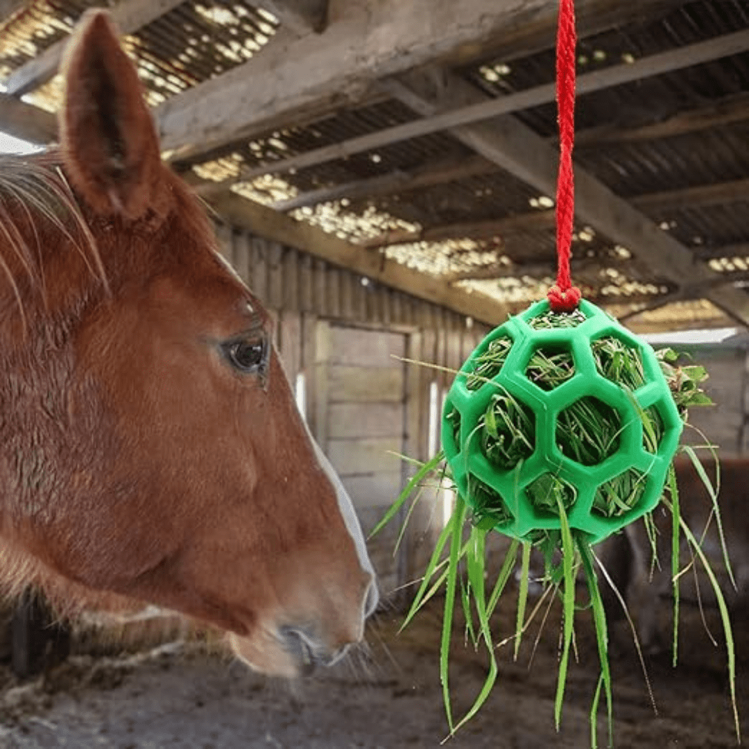 Jardioui Vert / 1 Balle (24.90€/pc) Balle d'Alimentation Interactive Pour Chevaux